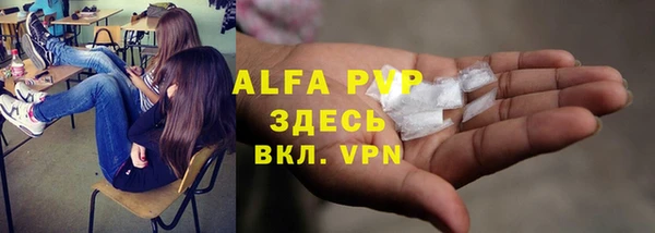 гидра Белокуриха